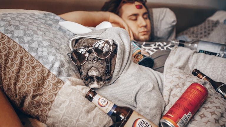 Yoda ๐น๐ฏ๏ธ